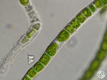 J0902_3.JPG