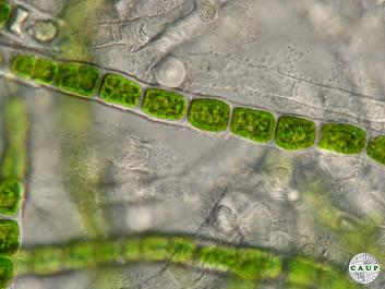 J0902_4.JPG