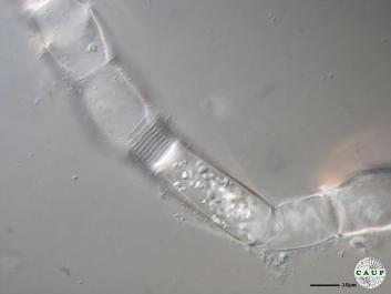 J1001_3.JPG