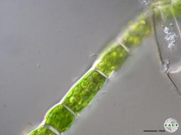 J1001_4.JPG