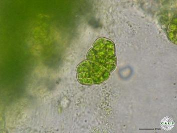 J1101_3.JPG