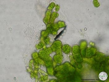 J1101_4.JPG