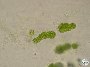 J1101_5.JPG