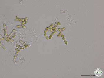 J1201_6.JPG