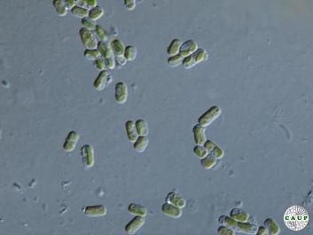 J1301_2.JPG