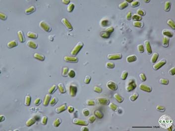 J1302a.JPG