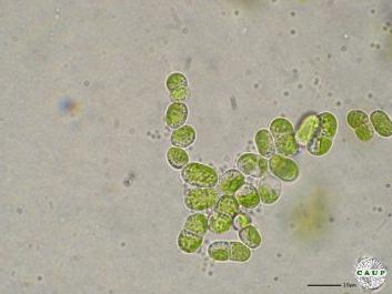 J203_5.JPG