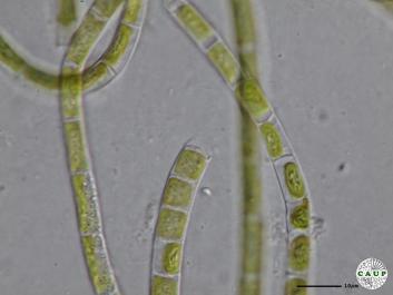 J302_10.JPG