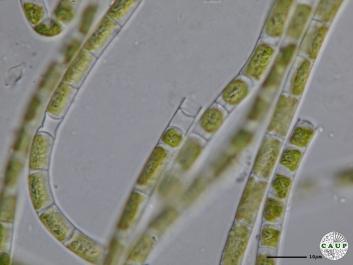 J302_4.JPG