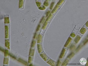 J302_5.JPG
