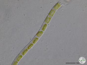 J302_8.JPG