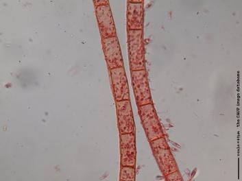 K003.JPG