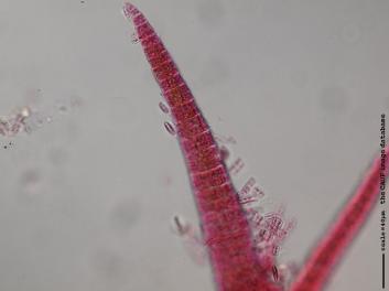 K004a.JPG