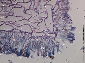 K015a.JPG