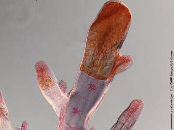 K023a.JPG