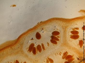 K026a.JPG