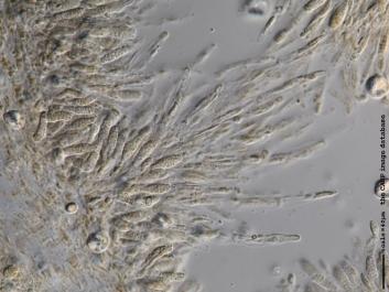 K027a.JPG