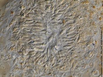 K027b.JPG