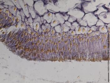 K029a.JPG