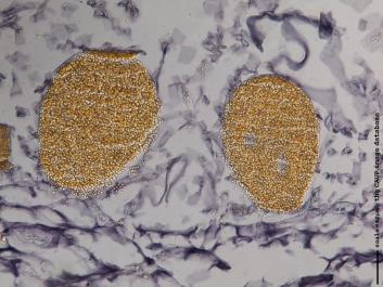 K029b.JPG