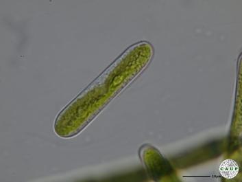 K101_1.JPG