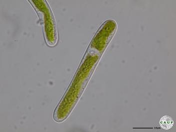 K101_2.JPG