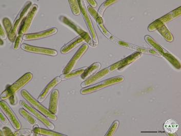 K101_3.JPG