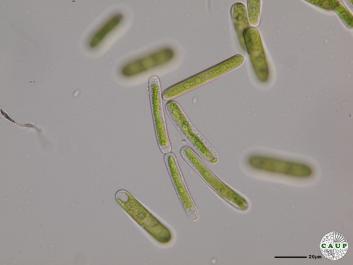 K101_4.JPG