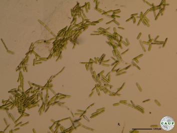 K101_5.JPG