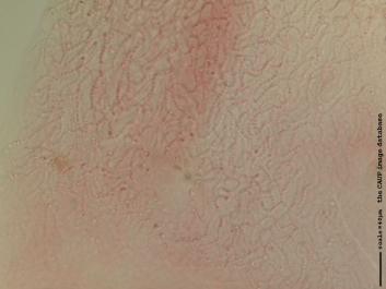 N006.JPG