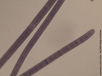 N016.JPG