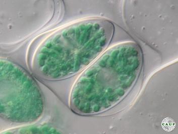 O101_1.jpg