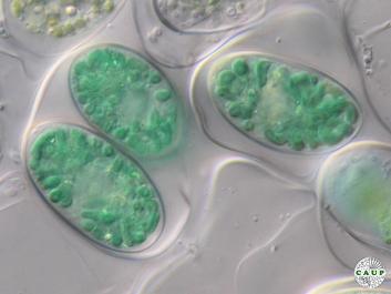 O101_2.jpg