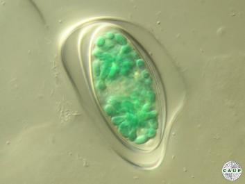O101_3.jpg