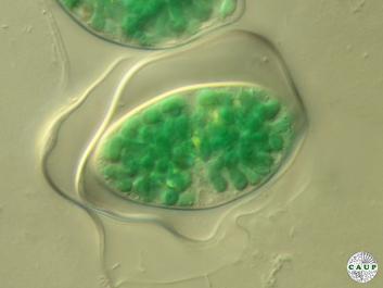 O101_5.jpg