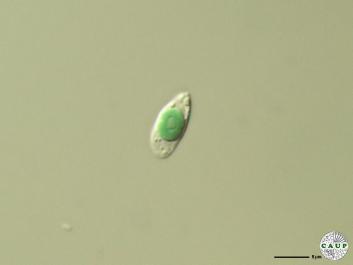 O201_1a.jpg