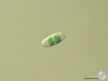 O201_3a.jpg
