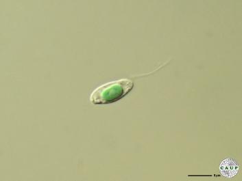 O201_5a.jpg