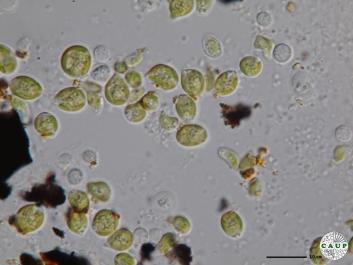 Q301_10.JPG