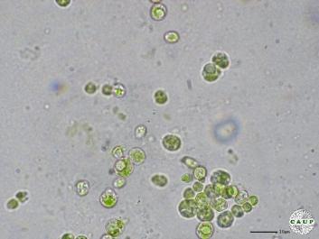 Q401_2.JPG