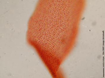R004.JPG