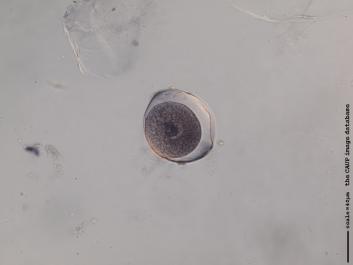 R007.JPG