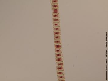 S018.JPG