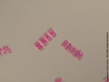 S021a.JPG