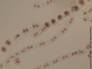 S047.JPG