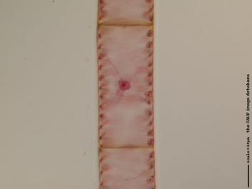 S049.JPG