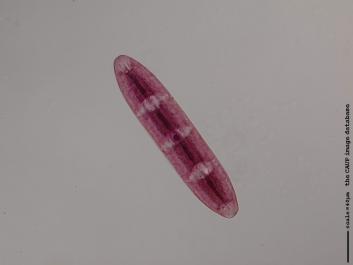 S050.JPG