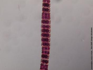 S055a.JPG