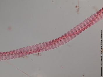 S057a.JPG