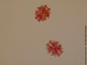 S059.JPG